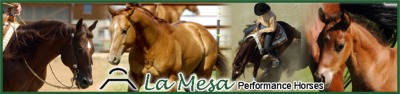La Mesa Performance Horses 